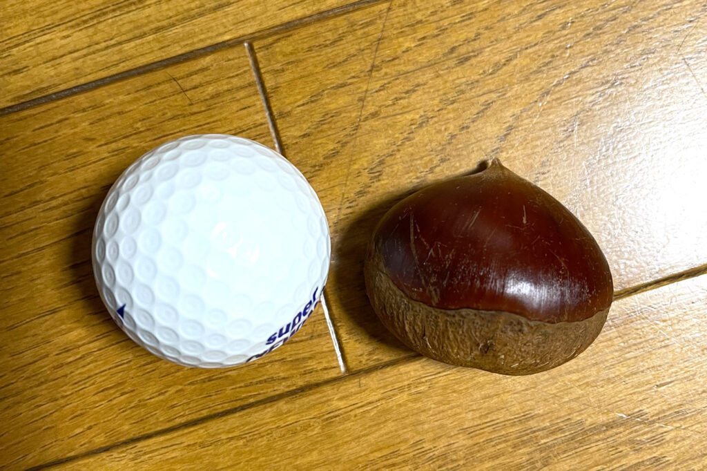 ゴルフボールサイズ！